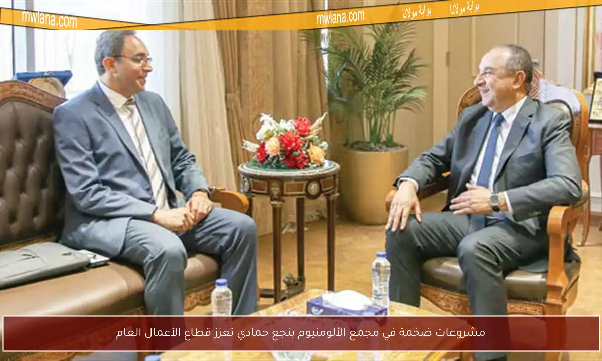 مشروعات ضخمة في مجمع الألومنيوم بنجع حمادي تعزز قطاع الأعمال العام