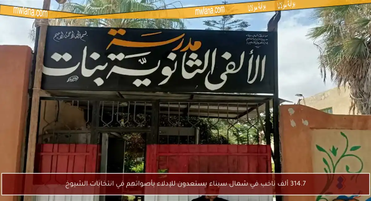 314.7 ألف ناخب في شمال سيناء يستعدون للإدلاء بأصواتهم في انتخابات الشيوخ