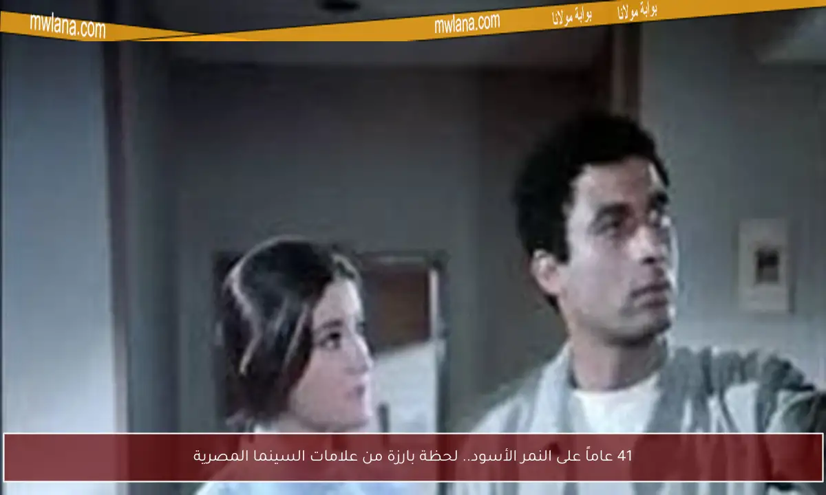 41 عاماً على النمر الأسود.. لحظة بارزة من علامات السينما المصرية