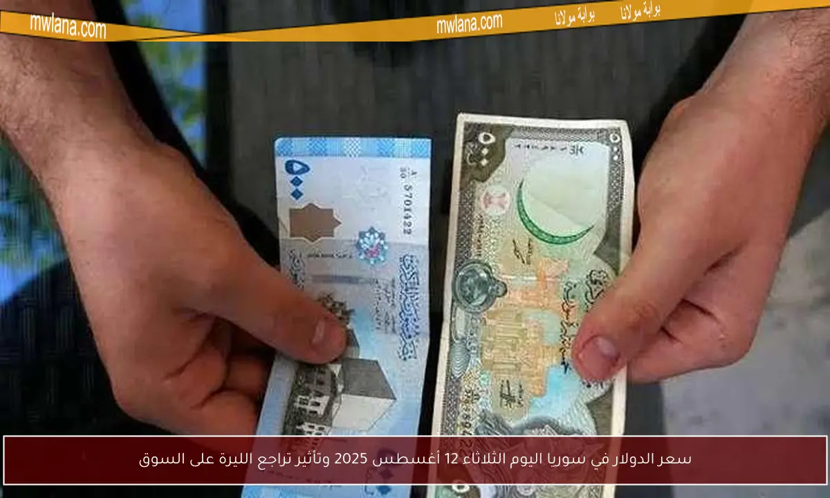 سعر الدولار في سوريا اليوم الثلاثاء 12 أغسطس 2025 وتأثير تراجع الليرة على السوق