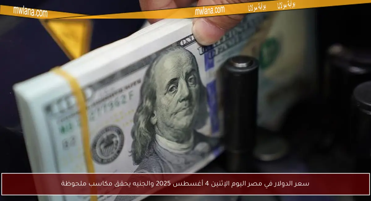 سعر الدولار في مصر اليوم الإثنين 4 أغسطس 2025 والجنيه يحقق مكاسب ملحوظة