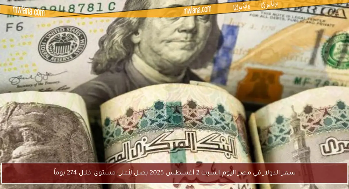 سعر الدولار في مصر اليوم السبت 2 أغسطس 2025 يصل لأعلى مستوى خلال 274 يوماً