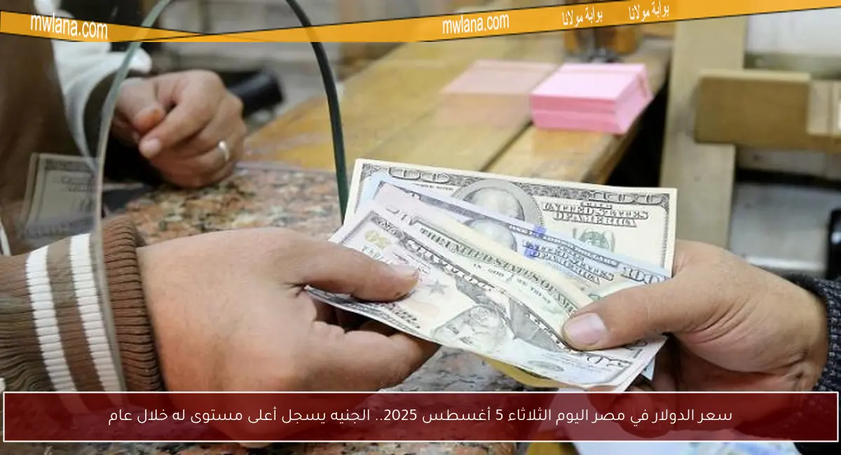 سعر الدولار في مصر اليوم الثلاثاء 5 أغسطس 2025.. الجنيه يسجل أعلى مستوى له خلال عام