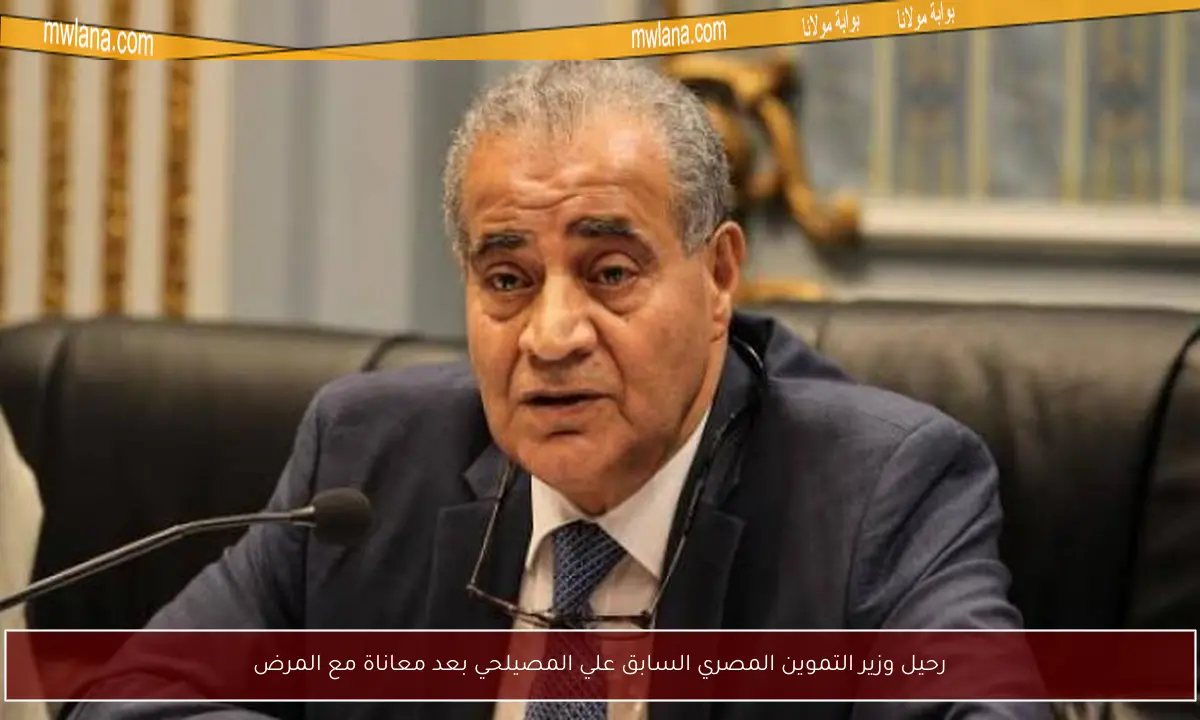 رحيل وزير التموين المصري السابق علي المصيلحي بعد معاناة مع المرض