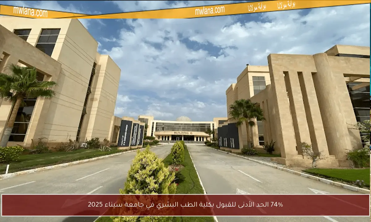74% الحد الأدنى للقبول بكلية الطب البشري في جامعة سيناء 2025