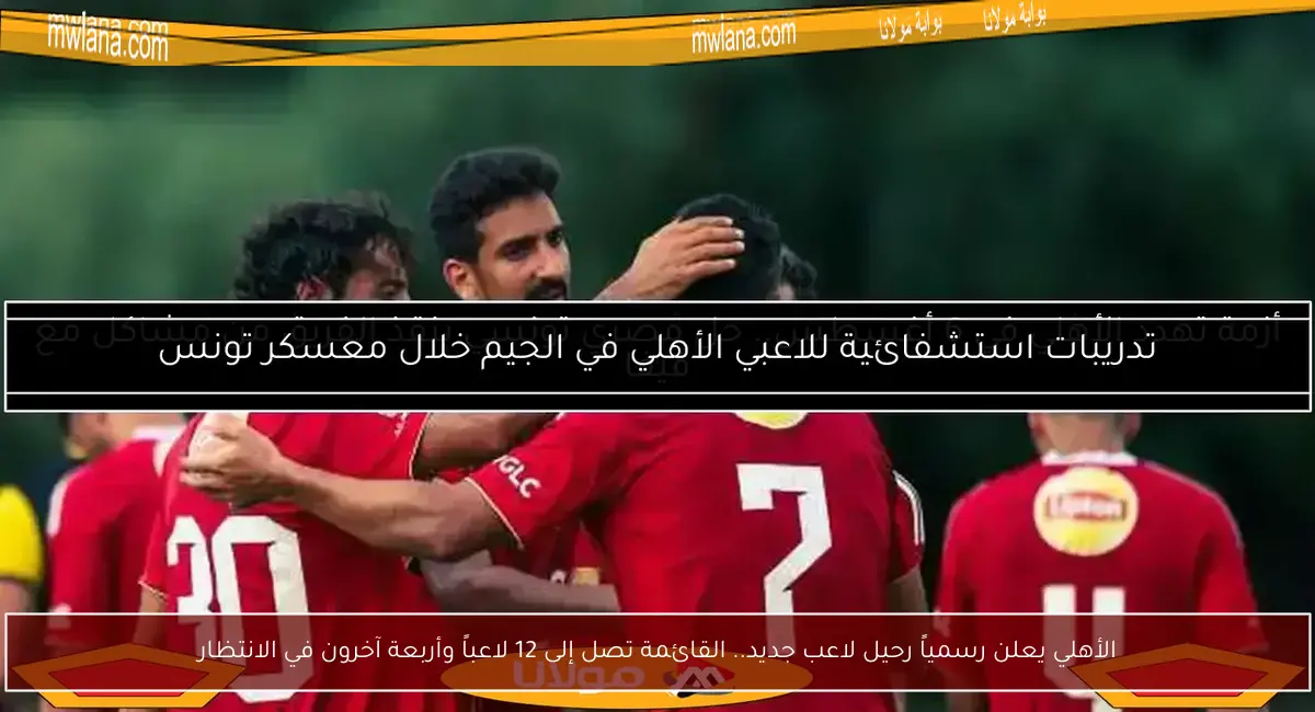الأهلي يعلن رسمياً رحيل لاعب جديد.. القائمة تصل إلى 12 لاعباً وأربعة آخرون في الانتظار