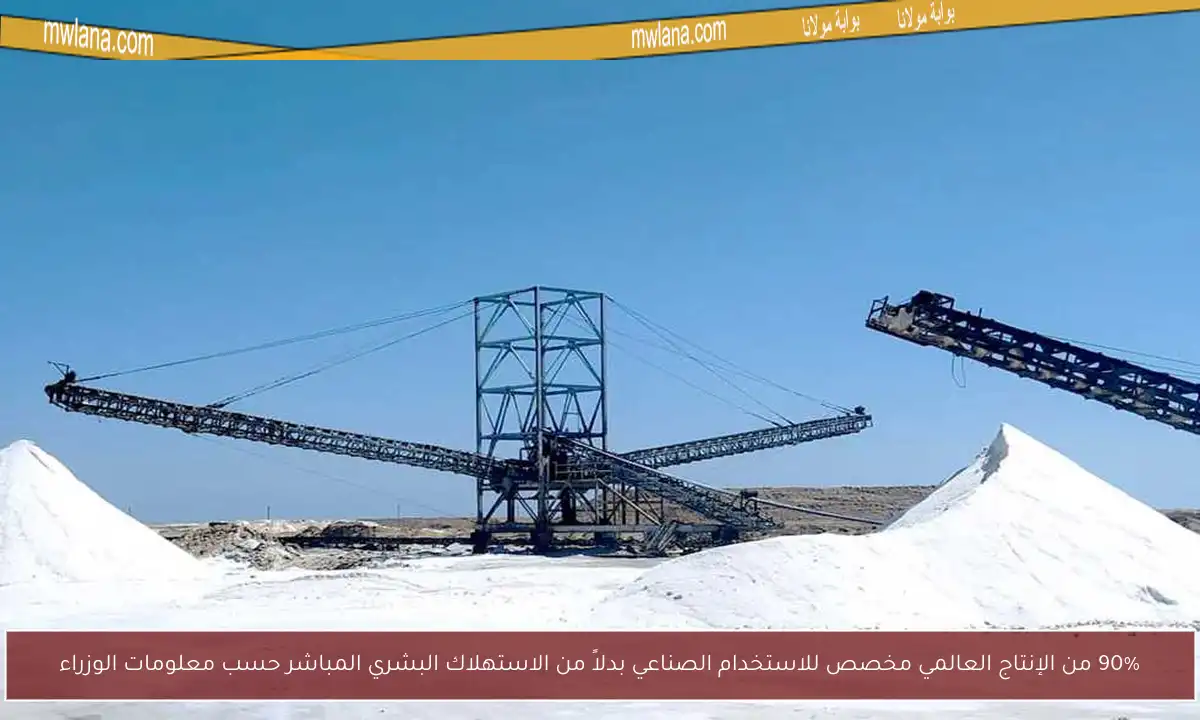 90% من الإنتاج العالمي مخصص للاستخدام الصناعي بدلاً من الاستهلاك البشري المباشر حسب معلومات الوزراء