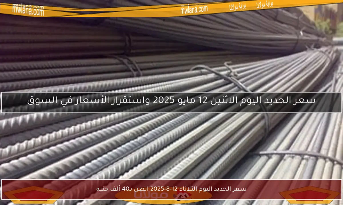 سعر الحديد اليوم الثلاثاء 12-8-2025 الطن بـ40 ألف جنيه