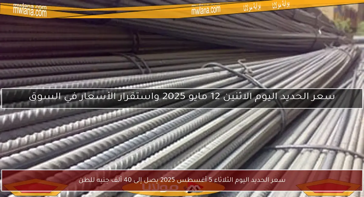 سعر الحديد اليوم الثلاثاء 5 أغسطس 2025 يصل إلى 40 ألف جنيه للطن