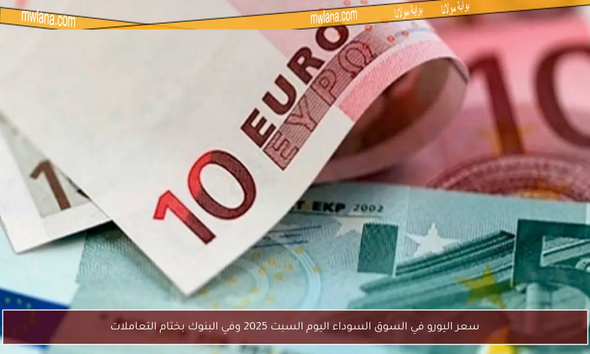 سعر اليورو في السوق السوداء اليوم السبت 2025 وفي البنوك بختام التعاملات