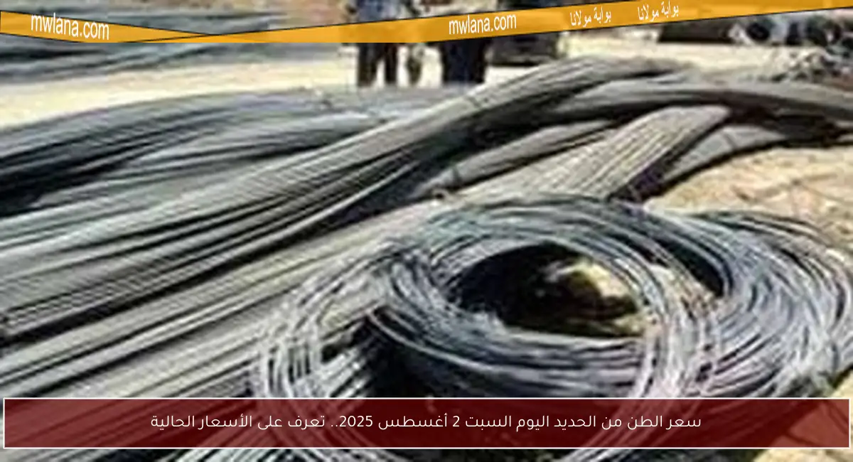 سعر الطن من الحديد اليوم السبت 2 أغسطس 2025.. تعرف على الأسعار الحالية