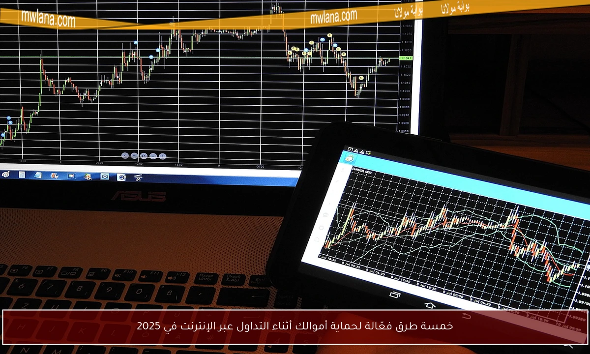 خمسة طرق فعّالة لحماية أموالك أثناء التداول عبر الإنترنت في 2025