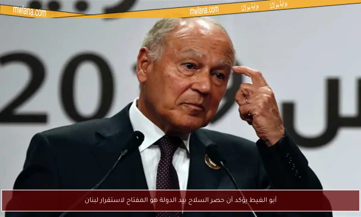 أبو الغيط يؤكد أن حصر السلاح بيد الدولة هو المفتاح لاستقرار لبنان