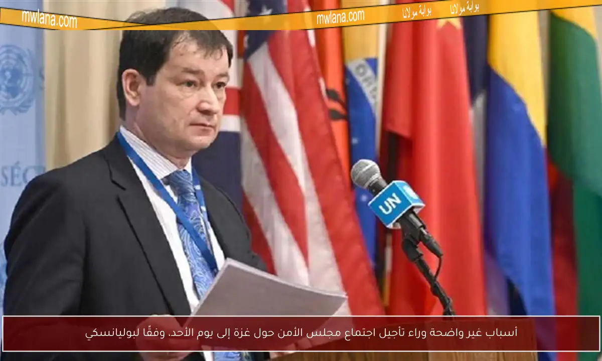 أسباب غير واضحة وراء تأجيل اجتماع مجلس الأمن حول غزة إلى يوم الأحد، وفقًا لبوليانسكي