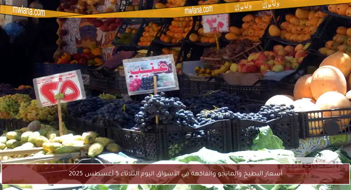 أسعار البطيخ والمانجو والفاكهة في الأسواق اليوم الثلاثاء 5 أغسطس 2025