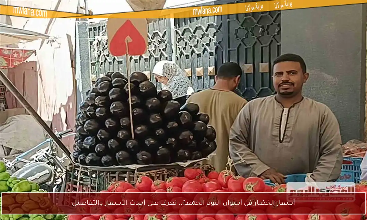 أسعار الخضار في أسوان اليوم الجمعة.. تعرف على أحدث الأسعار والتفاصيل