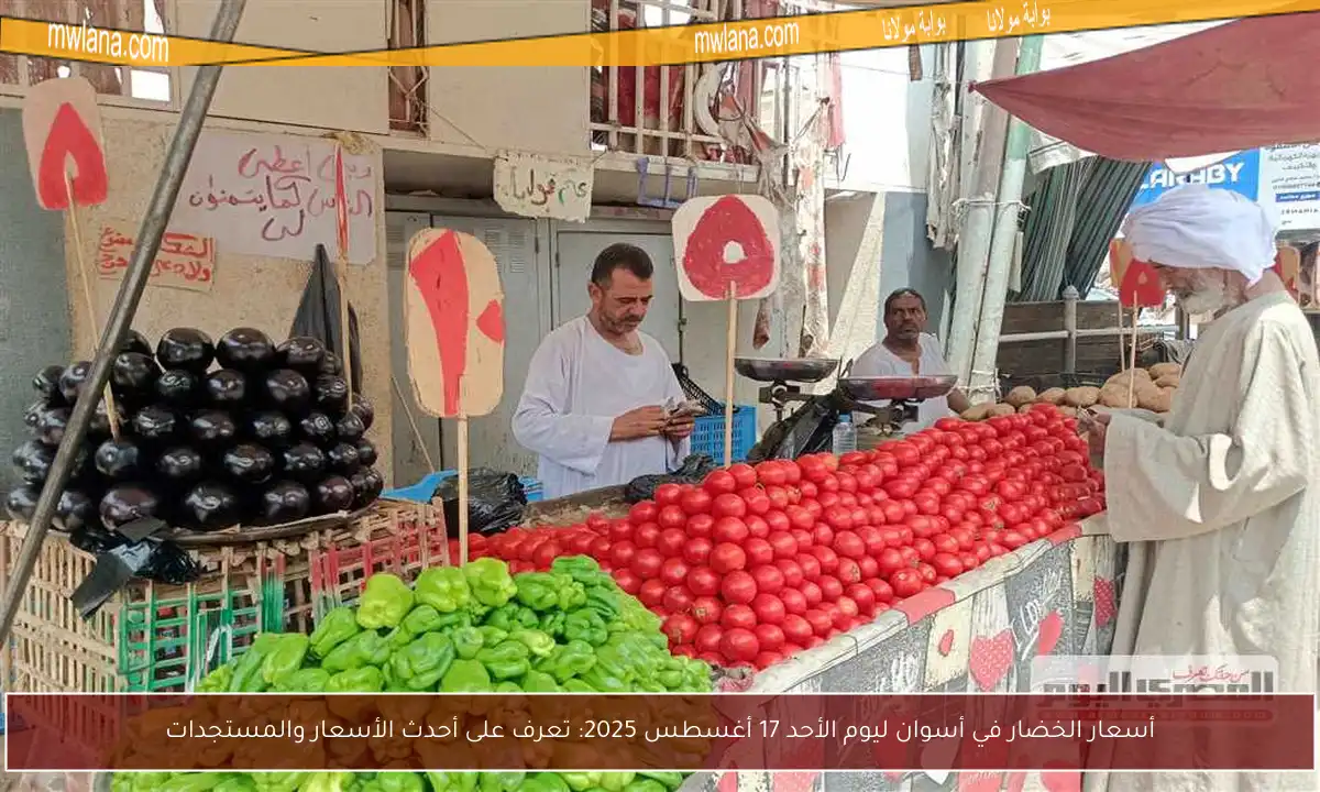 أسعار الخضار في أسوان ليوم الأحد 17 أغسطس 2025: تعرف على أحدث الأسعار والمستجدات