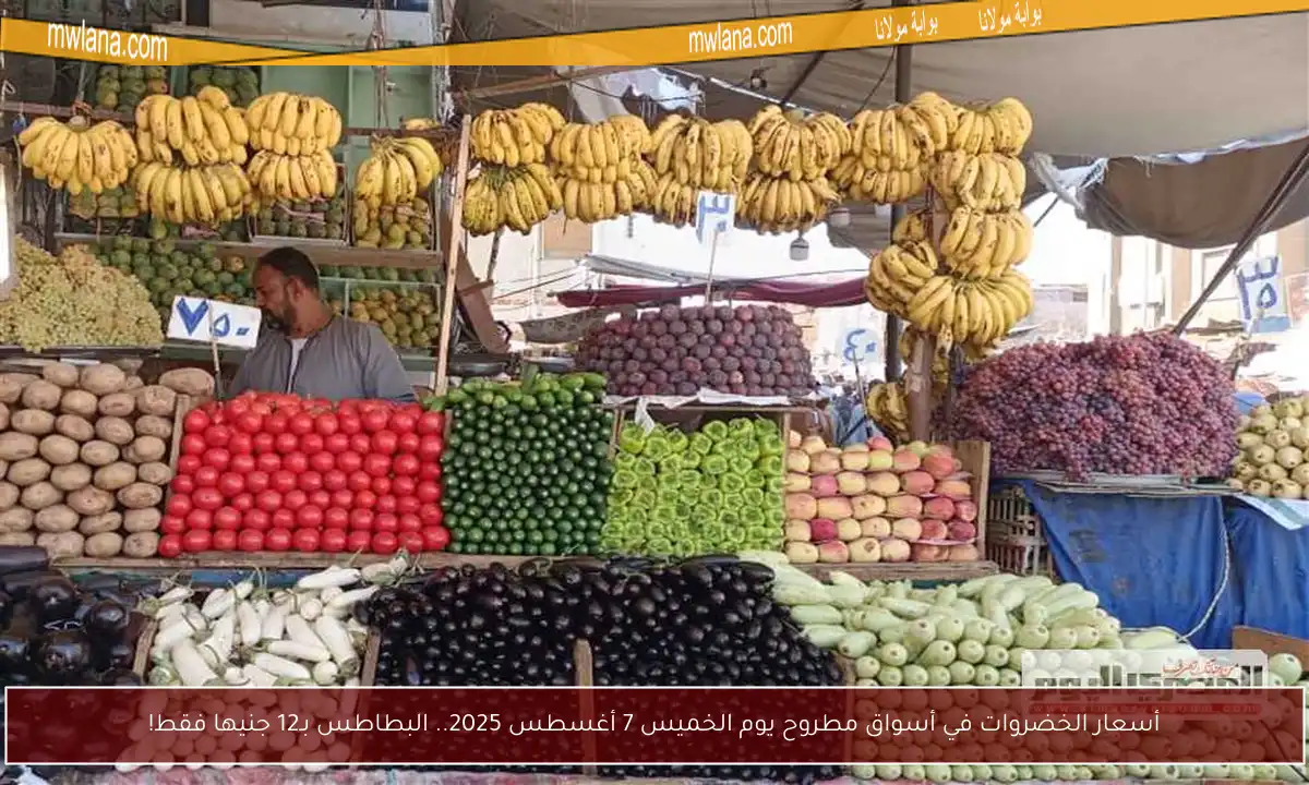 أسعار الخضروات في أسواق مطروح يوم الخميس 7 أغسطس 2025.. البطاطس بـ12 جنيها فقط!