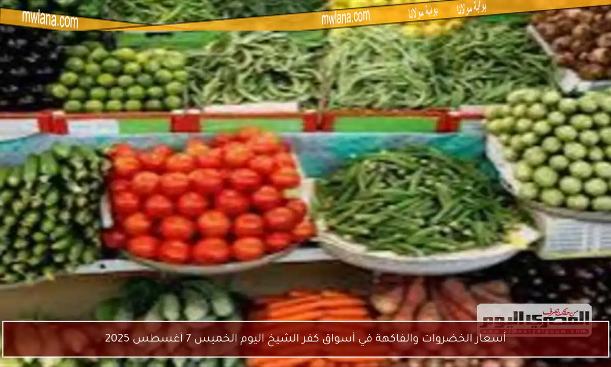 أسعار الخضروات والفاكهة في أسواق كفر الشيخ اليوم الخميس 7 أغسطس 2025