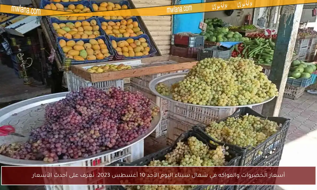 أسعار الخضروات والفواكه في شمال سيناء اليوم الأحد 10 أغسطس 2023: تعرف على أحدث الأسعار