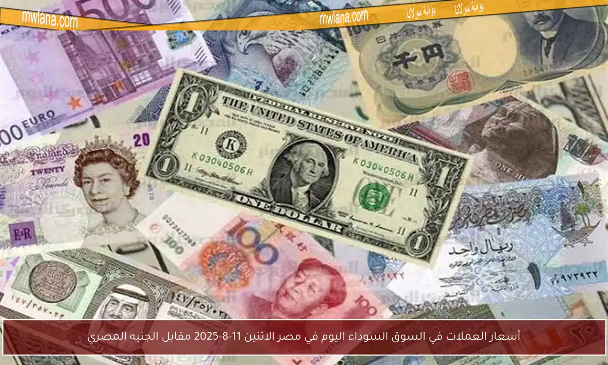 أسعار العملات في السوق السوداء اليوم في مصر الاثنين 11-8-2025 مقابل الجنيه المصري