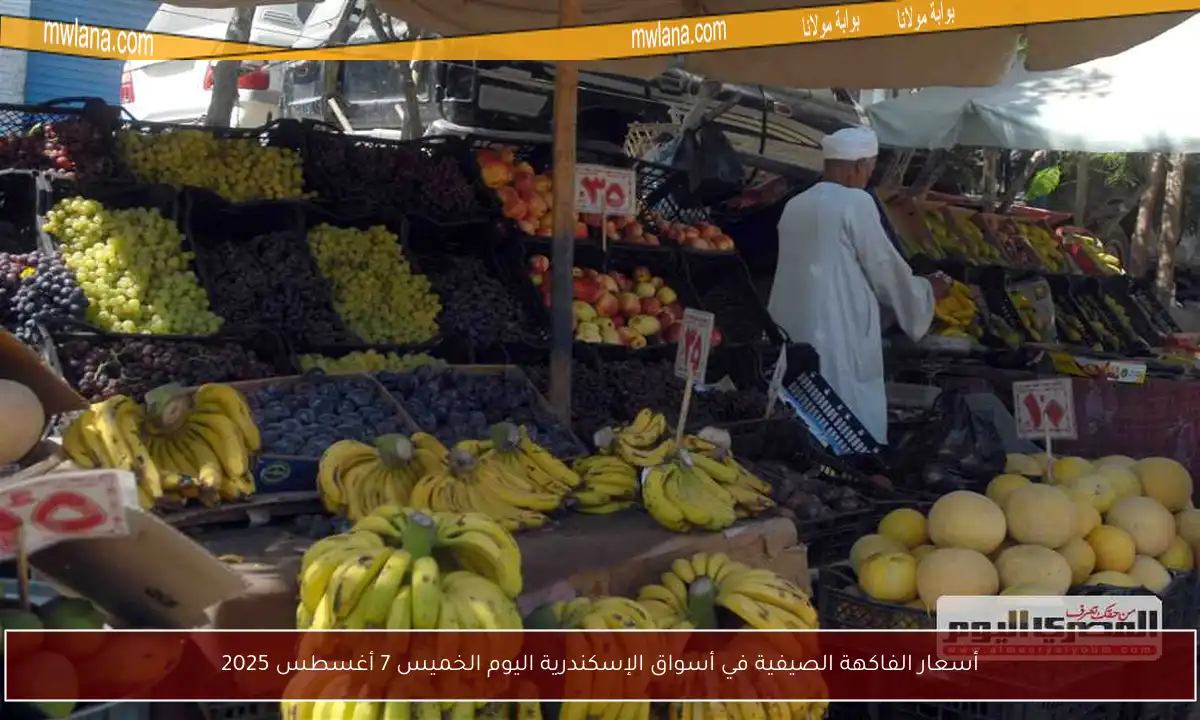 أسعار الفاكهة الصيفية في أسواق الإسكندرية اليوم الخميس 7 أغسطس 2025