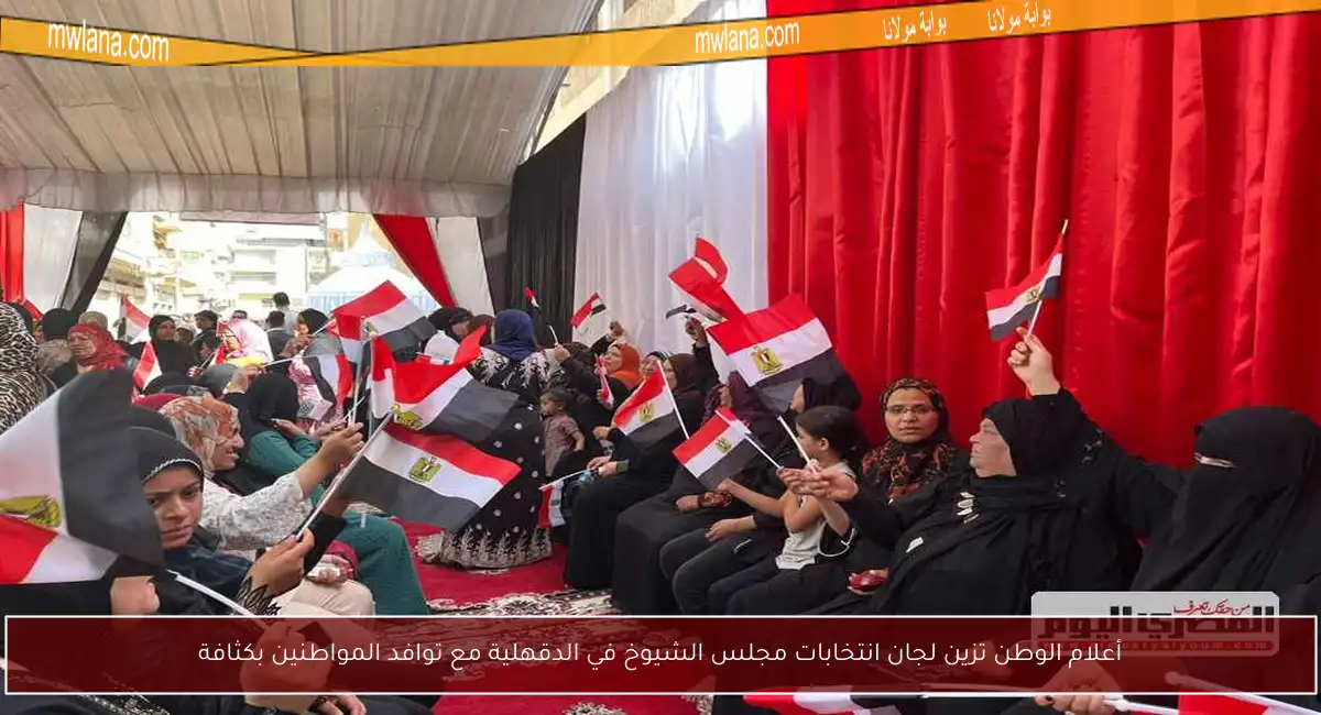 أعلام الوطن تزين لجان انتخابات مجلس الشيوخ في الدقهلية مع توافد المواطنين بكثافة