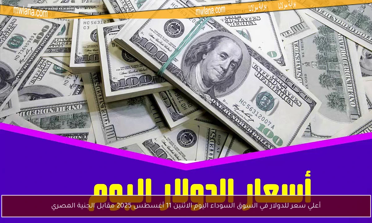 أعلي سعر للدولار في السوق السوداء اليوم الاثنين 11 أغسطس 2025 مقابل الجنية المصري