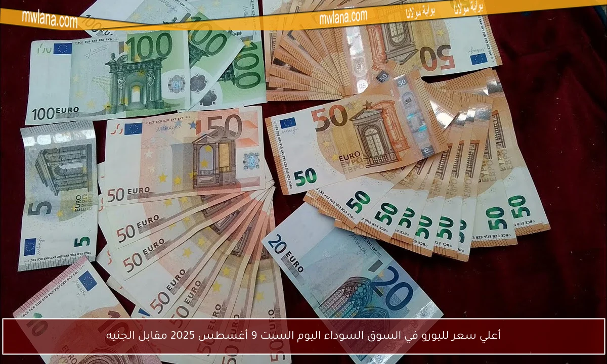 أعلي سعر لليورو في السوق السوداء اليوم السبت 9 أغسطس 2025 مقابل الجنيه