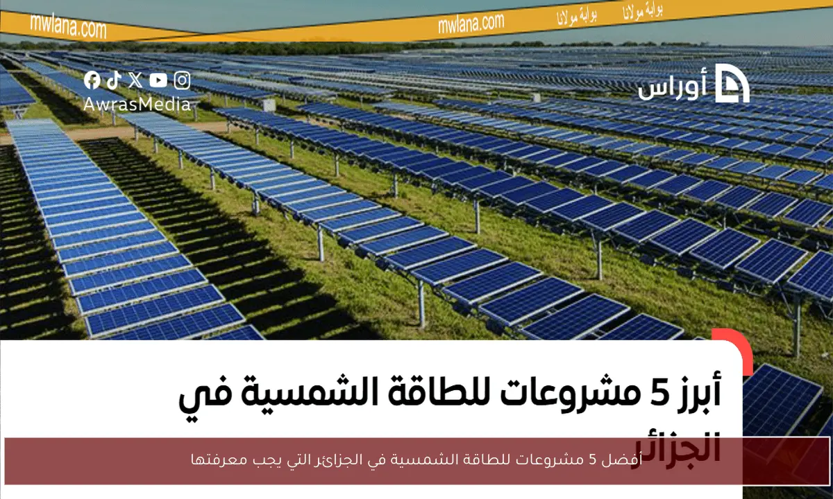 أفضل 5 مشروعات للطاقة الشمسية في الجزائر التي يجب معرفتها