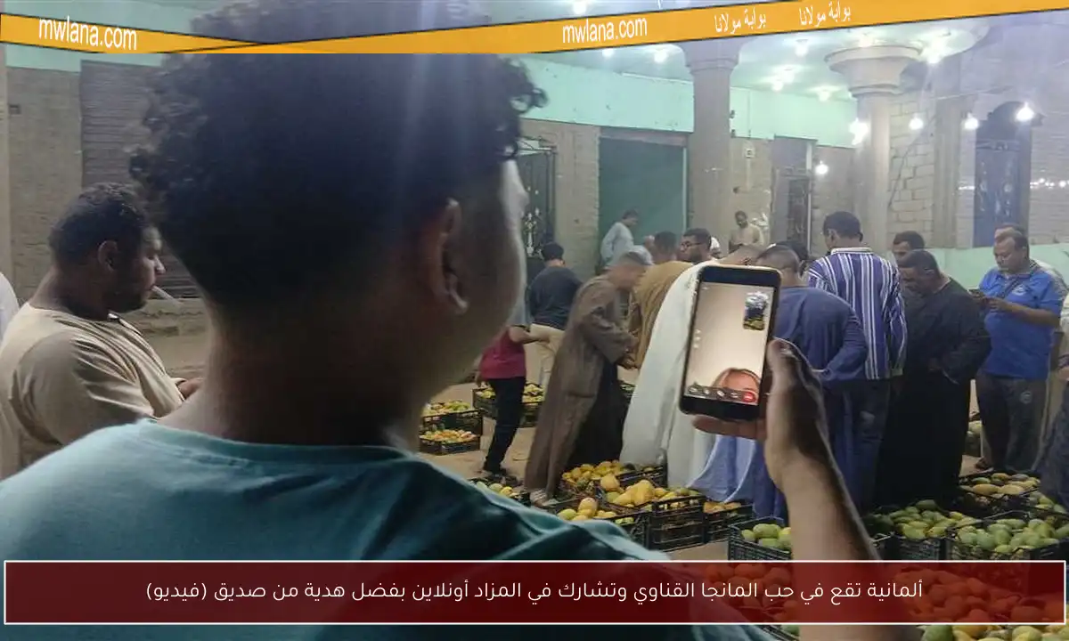 ألمانية تقع في حب المانجا القناوي وتشارك في المزاد أونلاين بفضل هدية من صديق (فيديو)