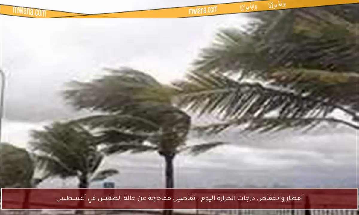 أمطار وانخفاض درجات الحرارة اليوم.. تفاصيل مفاجئة عن حالة الطقس في أغسطس