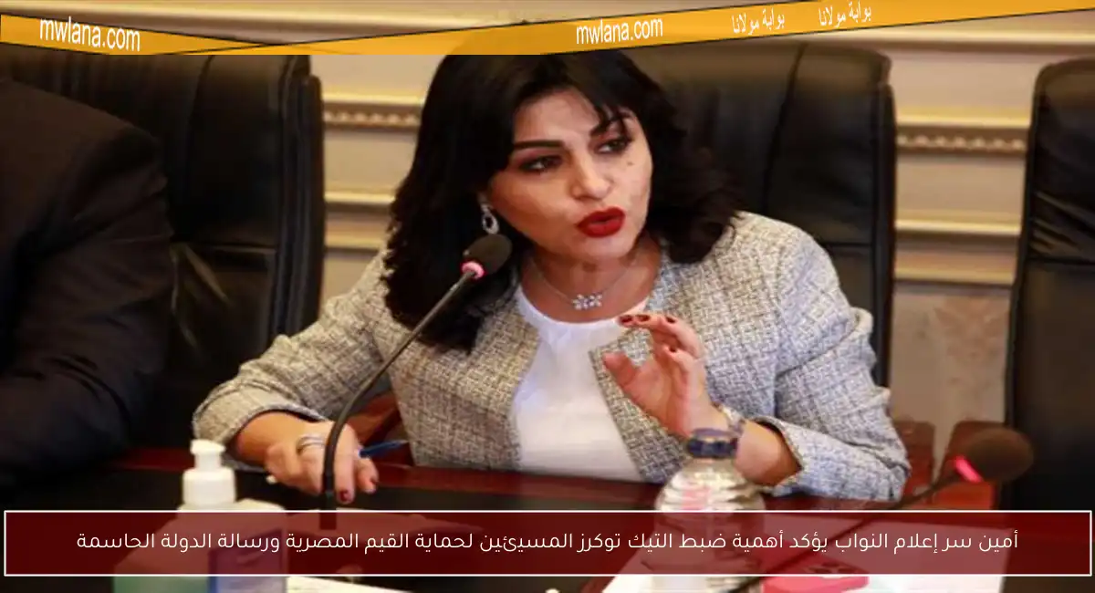 أمين سر إعلام النواب يؤكد أهمية ضبط التيك توكرز المسيئين لحماية القيم المصرية ورسالة الدولة الحاسمة