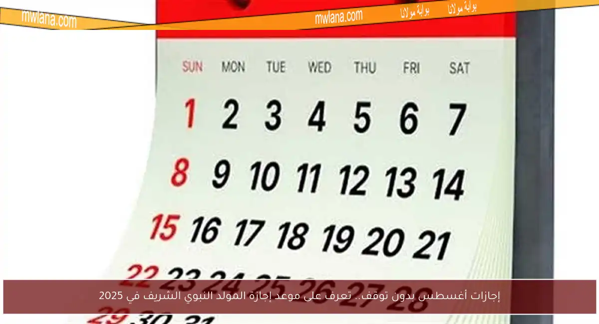 إجازات أغسطس بدون توقف.. تعرف على موعد إجازة المولد النبوي الشريف في 2025