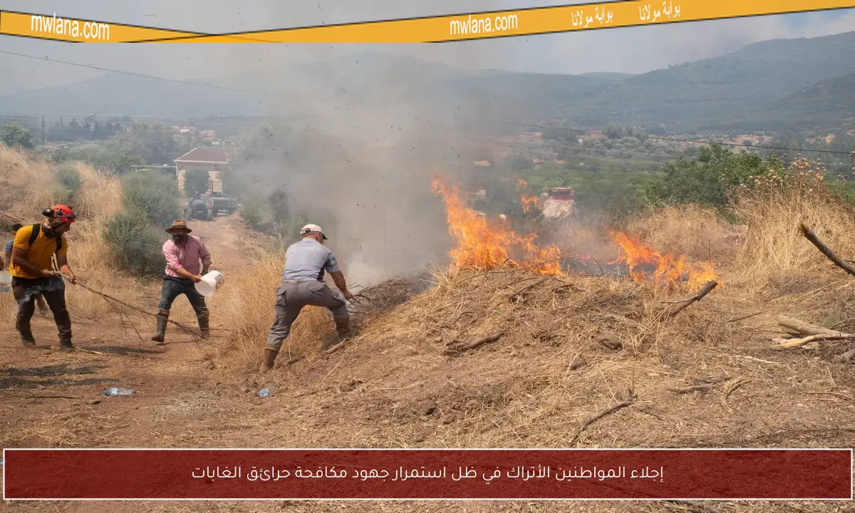 إجلاء المواطنين الأتراك في ظل استمرار جهود مكافحة حرائق الغابات
