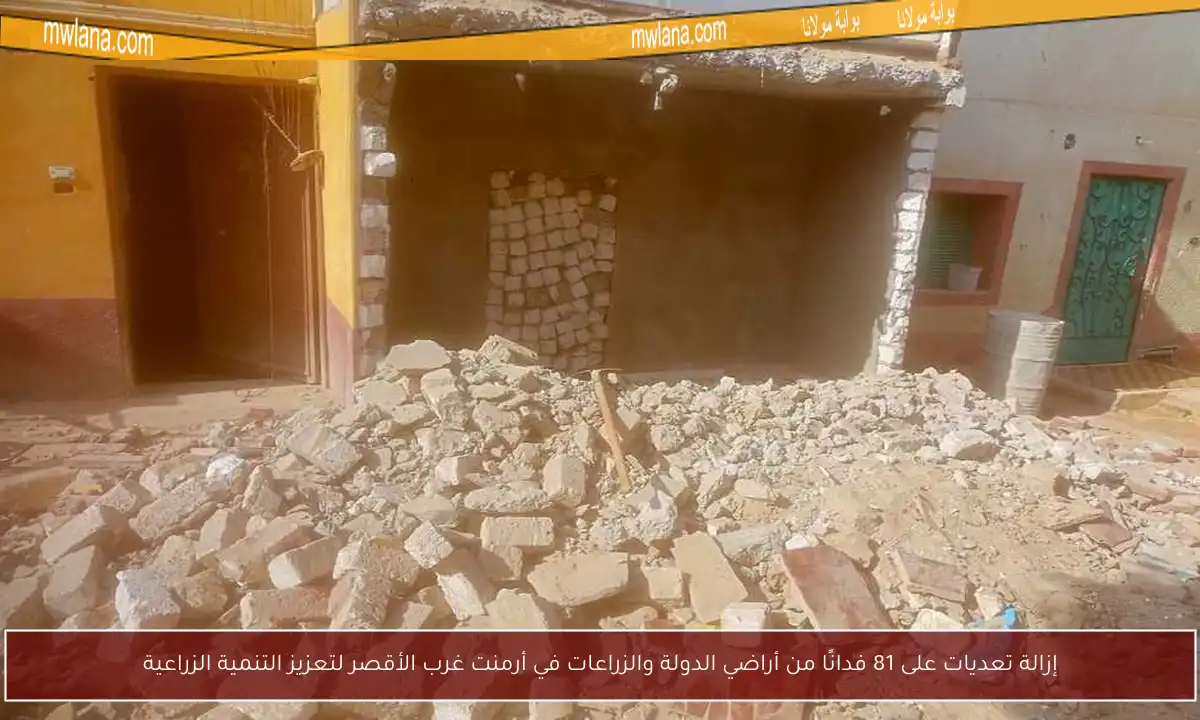 إزالة تعديات على 81 فدانًا من أراضي الدولة والزراعات في أرمنت غرب الأقصر لتعزيز التنمية الزراعية
