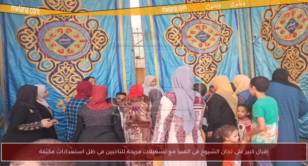 إقبال كبير على لجان الشيوخ في المنيا مع تسهيلات مريحة للناخبين في ظل استعدادات مكثفة