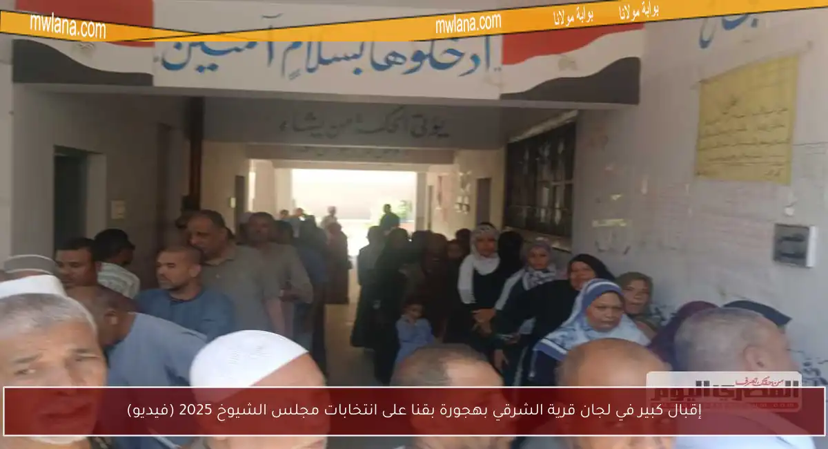 إقبال كبير في لجان قرية الشرقي بهجورة بقنا على انتخابات مجلس الشيوخ 2025 (فيديو)
