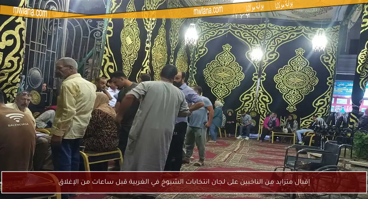 إقبال متزايد من الناخبين على لجان انتخابات الشيوخ في الغربية قبل ساعات من الإغلاق