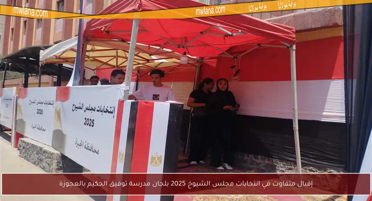 إقبال متفاوت في انتخابات مجلس الشيوخ 2025 بلجان مدرسة توفيق الحكيم بالعجوزة