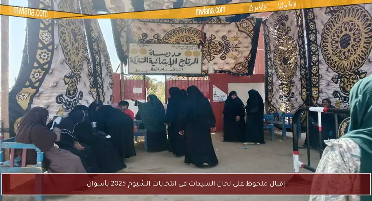 إقبال ملحوظ على لجان السيدات في انتخابات الشيوخ 2025 بأسوان