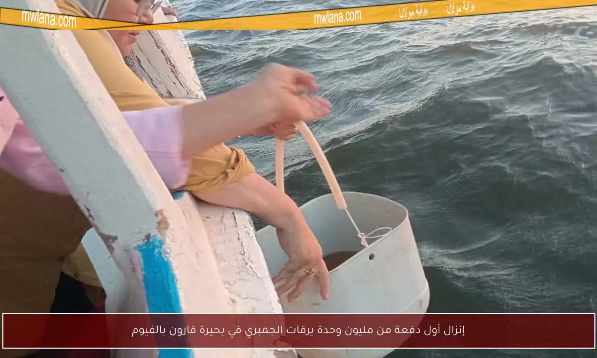 إنزال أول دفعة من مليون وحدة يرقات الجمبري في بحيرة قارون بالفيوم