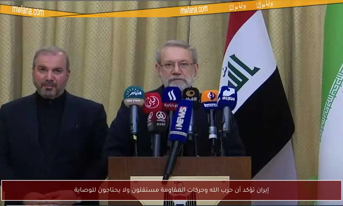 إيران تؤكد أن حزب الله وحركات المقاومة مستقلون ولا يحتاجون للوصاية
