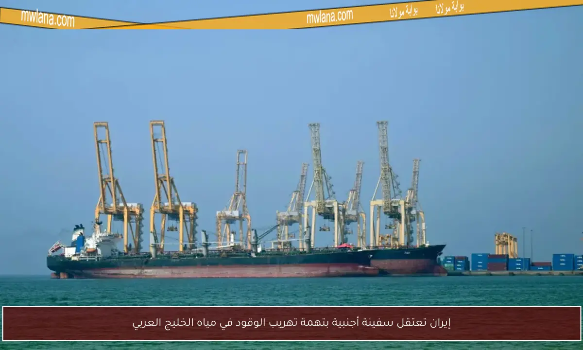 إيران تعتقل سفينة أجنبية بتهمة تهريب الوقود في مياه الخليج العربي