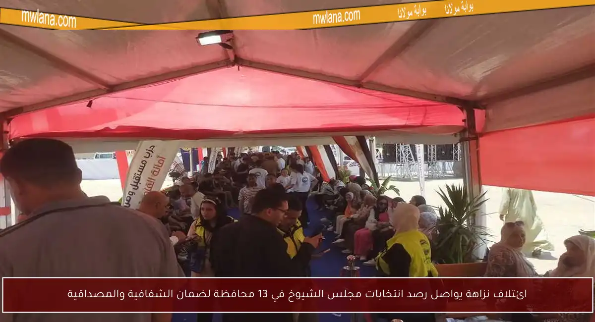 ائتلاف نزاهة يواصل رصد انتخابات مجلس الشيوخ في 13 محافظة لضمان الشفافية والمصداقية