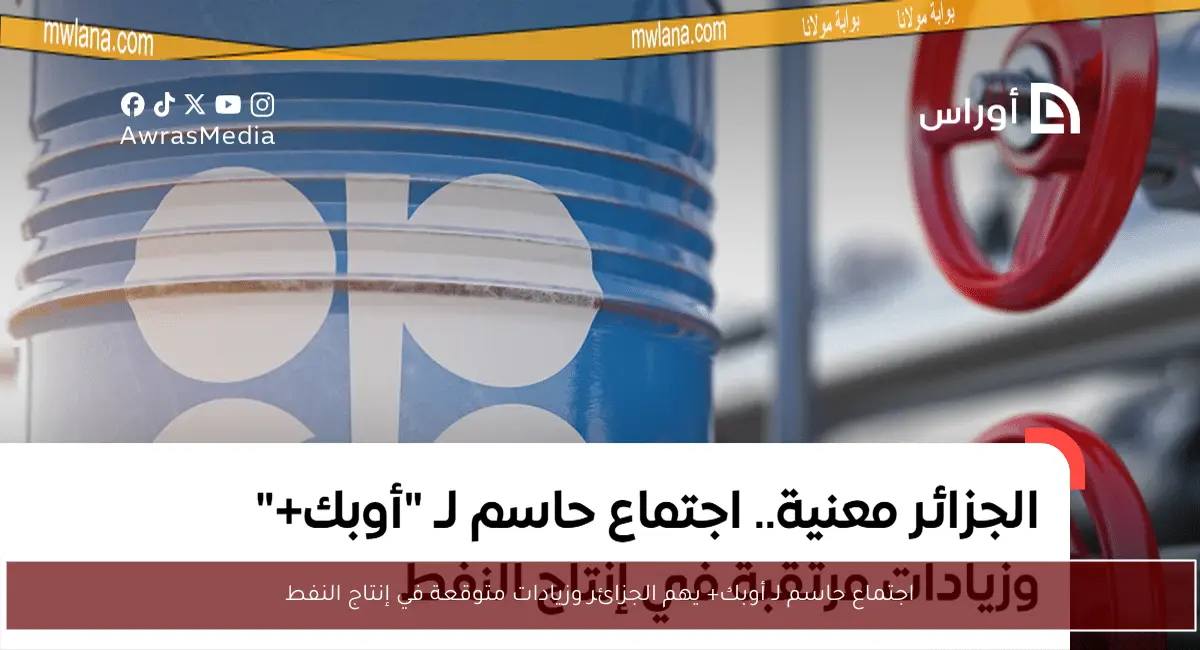 اجتماع حاسم لـ أوبك+ يهم الجزائر وزيادات متوقعة في إنتاج النفط