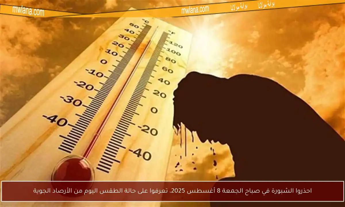 احذروا الشبورة في صباح الجمعة 8 أغسطس 2025، تعرفوا على حالة الطقس اليوم من الأرصاد الجوية