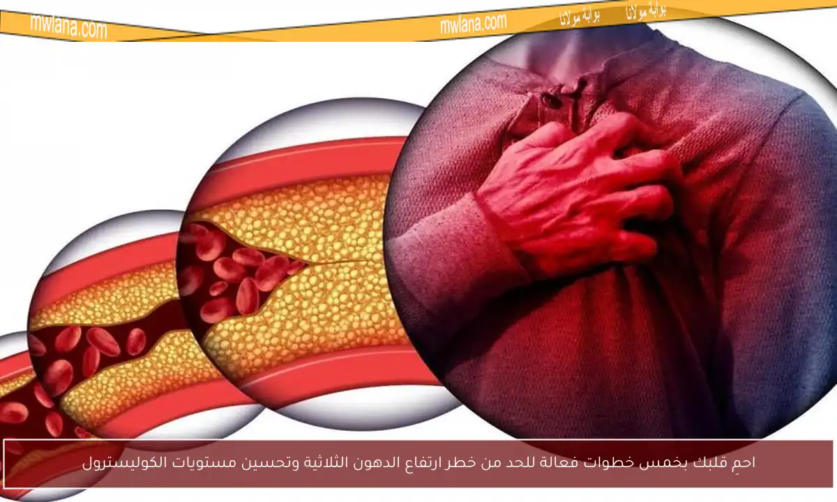 احمِ قلبك بخمس خطوات فعالة للحد من خطر ارتفاع الدهون الثلاثية وتحسين مستويات الكوليسترول