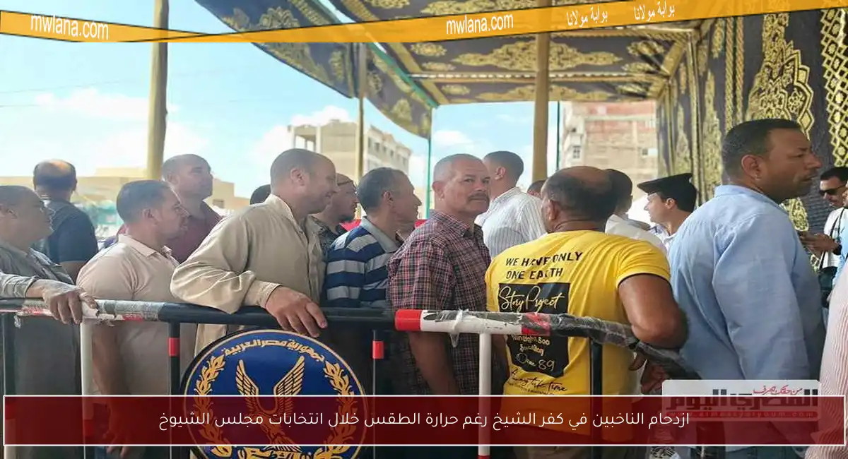 ازدحام الناخبين في كفر الشيخ رغم حرارة الطقس خلال انتخابات مجلس الشيوخ