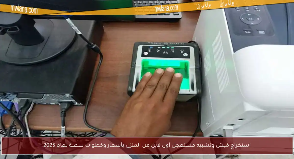 استخراج فيش وتشبيه مستعجل أون لاين من المنزل بأسعار وخطوات سهلة لعام 2025